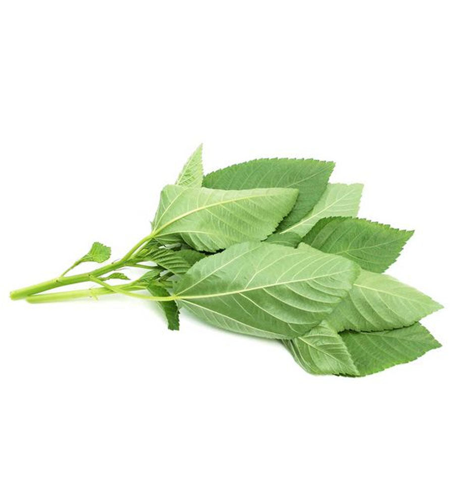 Fresh Molokhia