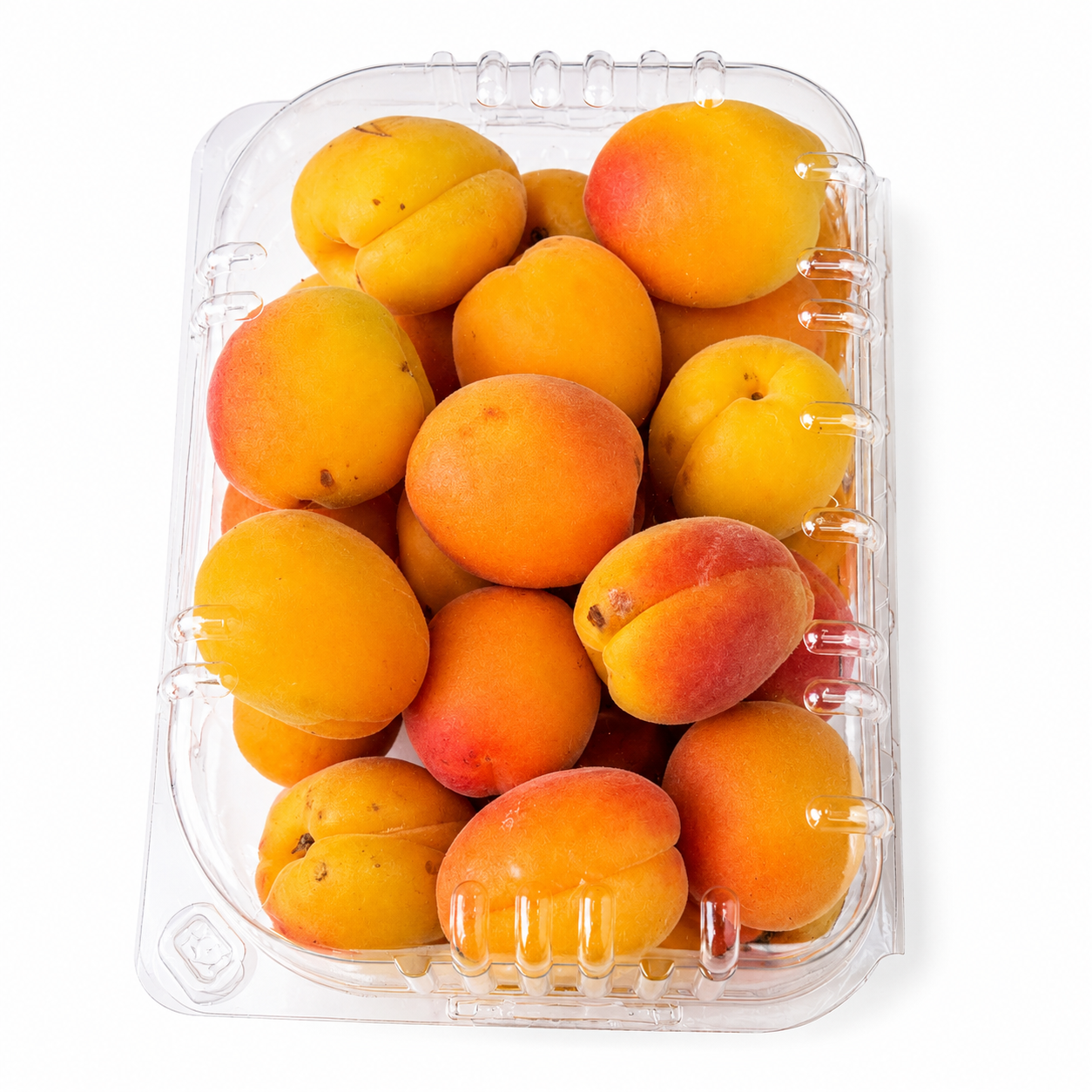 مشمش اردني طازج 1 كجم