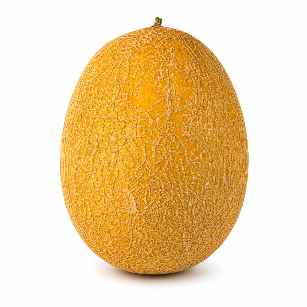 شمام أردني (قطعة واحدة)