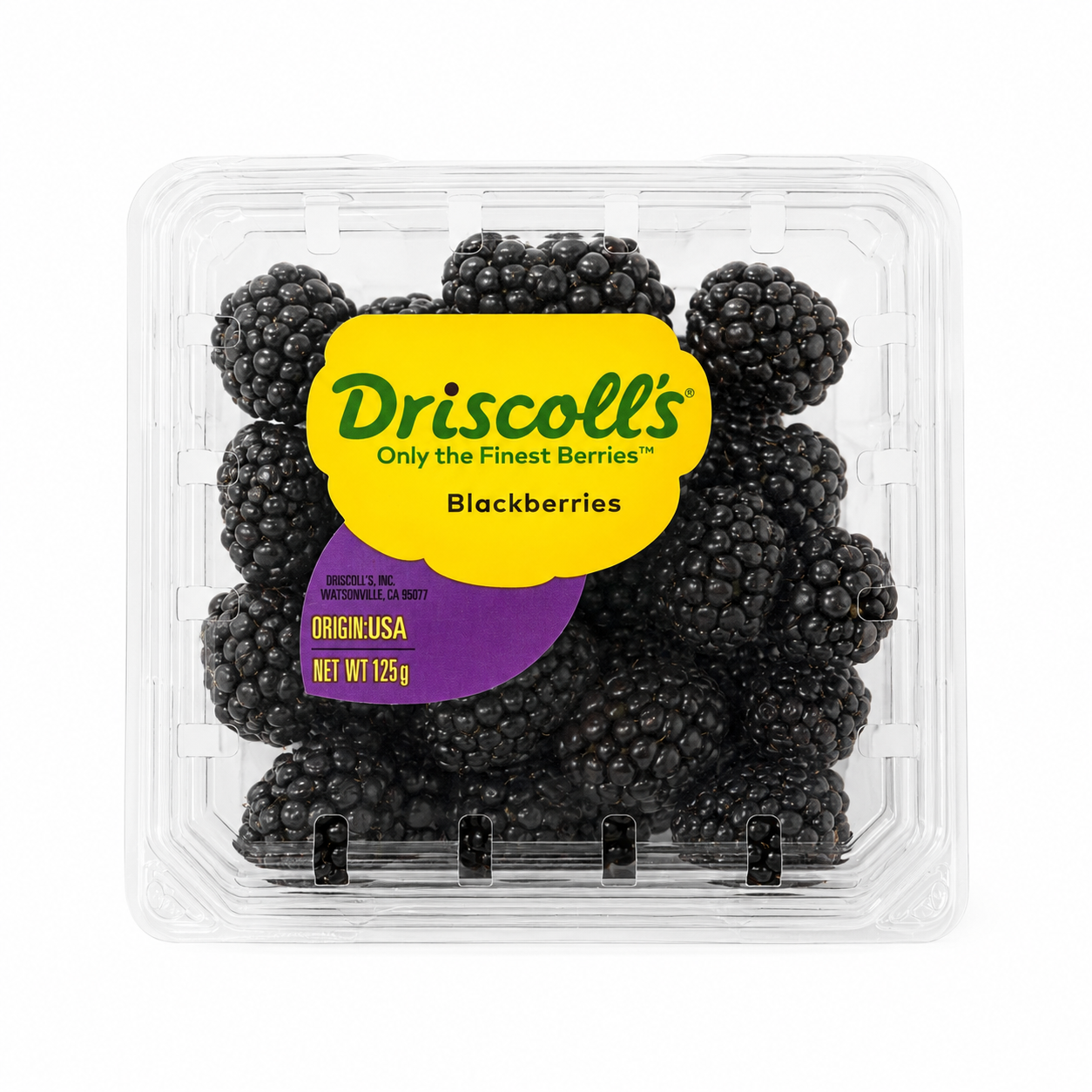 Fresh American Blackberries 125 g | Premium Blackberry