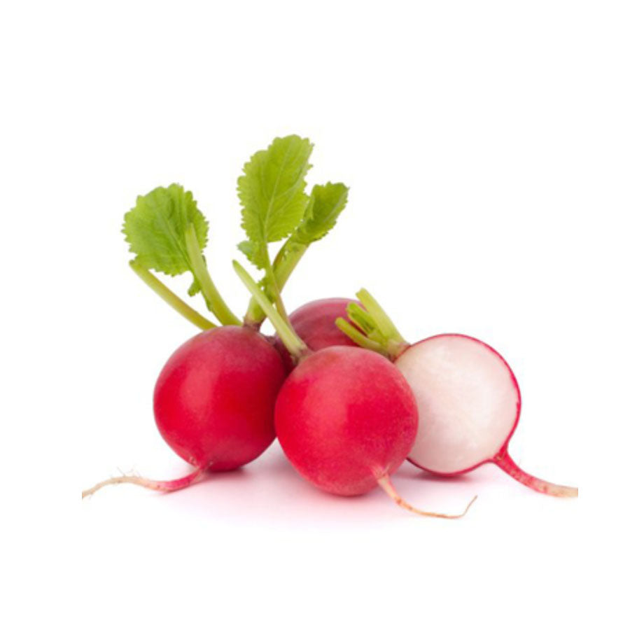 holandi Red Radish 125g