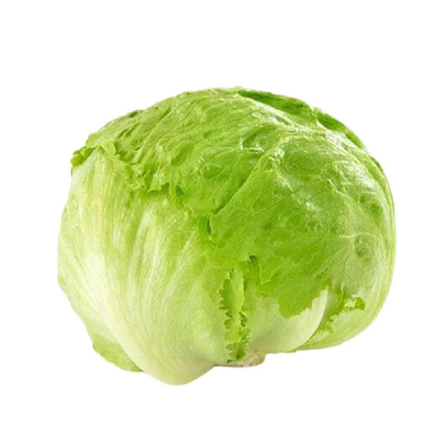 Round Lettuce Fresh 1pc