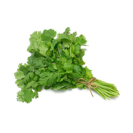 Fresh Coriander 1 Bunch