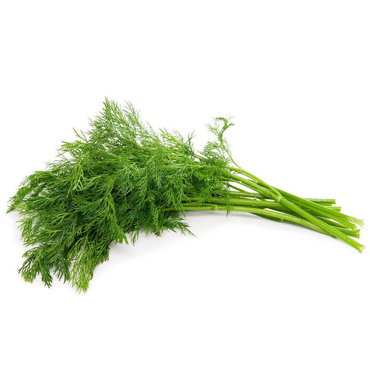 Fresh Dill
