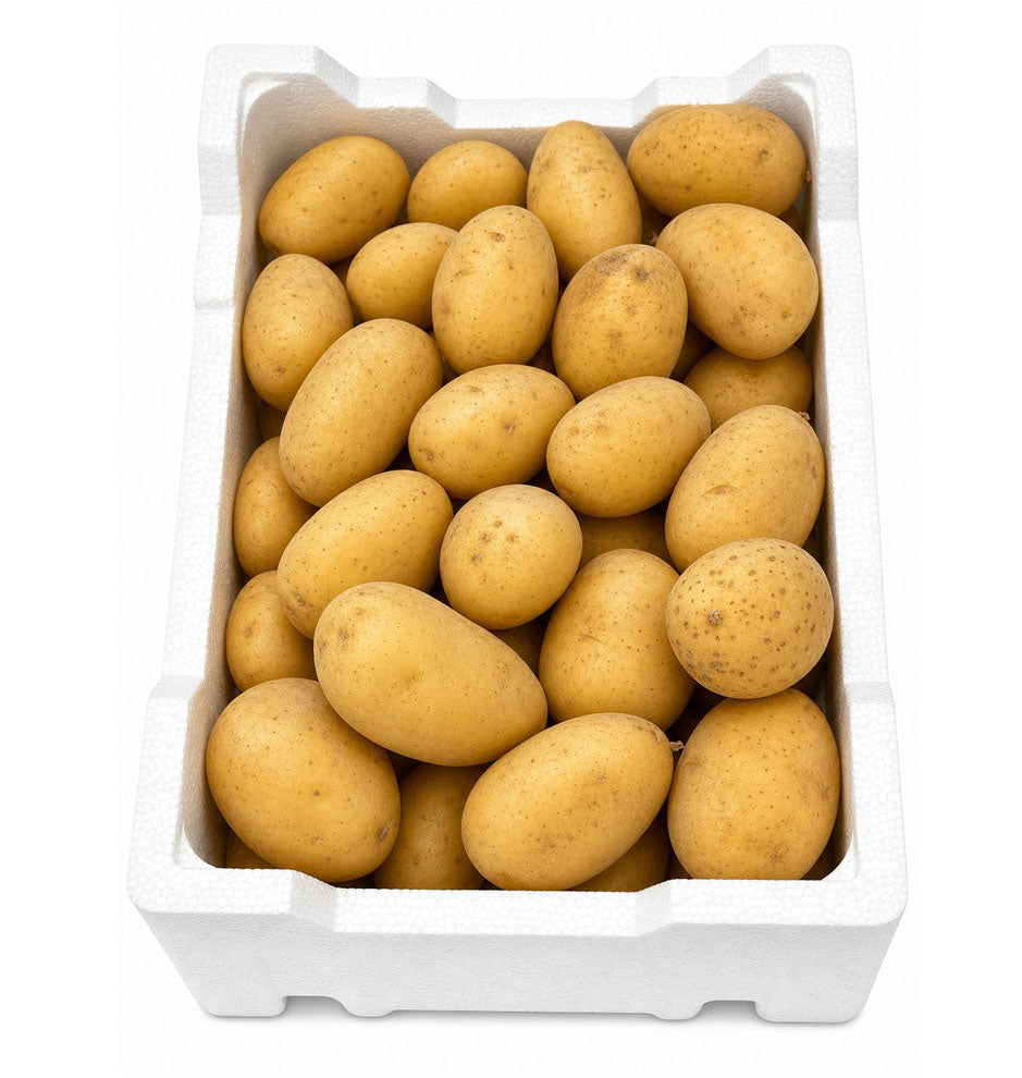 بطاطس كويتية طازجة (حجم متوسط)