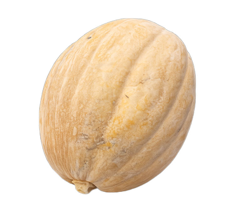 Fresh Kuwaiti Pumpkin 1 pcs