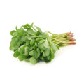 Fresh Purslane 1 Bunch