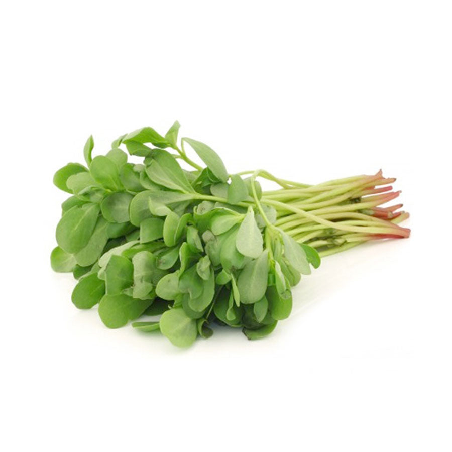 Fresh Purslane 1 Bunch